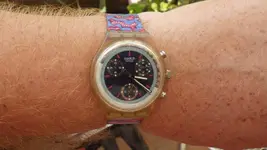 IMGP1410.webp