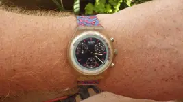IMGP1413.webp