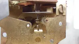 IMGP1210.webp