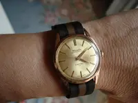 sub wristshot.webp sub wristshot.webp