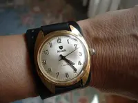 big wristshot.webp big wristshot.webp