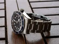 Tudor02p.webp