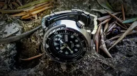 20180906_103850.webp