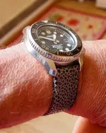 P9212670.webp