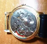 rosco_LI.webp