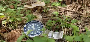 IMG_20180930_131251.webp