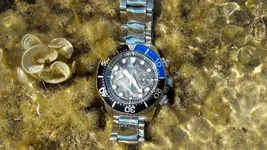 20180821_102339.webp