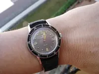 wristshot.webp