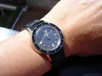 wristshot sunny.webp