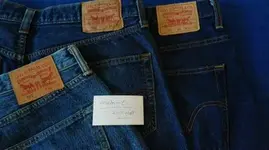 Levis03.webp