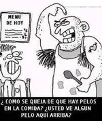 pelos-en-el-menu.webp
