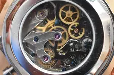 Macro 2018-10-21 002.webp