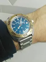 15386330208551903271975.webp