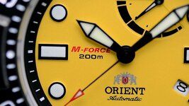 orientm-force_2013_sel03005yo.still005.jpg