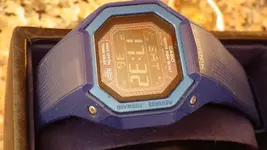 IMGP1516.webp