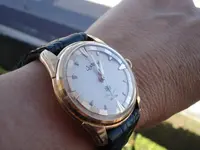 wristshot.webp