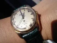 wristshot sun.webp