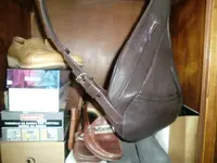 CIMG5661.webp