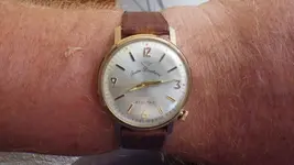 IMGP2720.webp