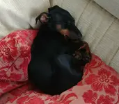 20180401_140015-1.webp