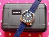 PA142684.webp