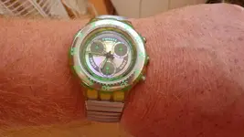 IMGP1529.webp
