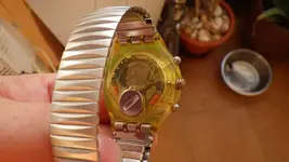 IMGP1530.webp