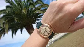 palmera.webp