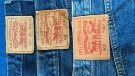 Levis01.webp