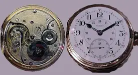 345323.webp