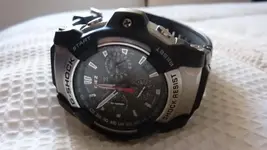 P1020593.webp
