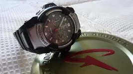 P1020594.webp