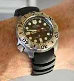 NY0054Wrist_27AUG09.webp
