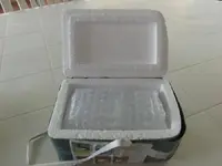 CIMG6997.webp
