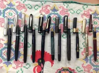 fotos coleccion de plumas 009.webp