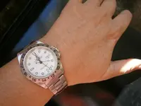 PA310108.webp