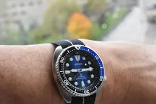 Turtle20181108.webp