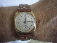 P1100440.webp