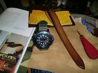 CIMG8431.webp