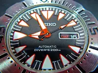 DSCN2271.webp