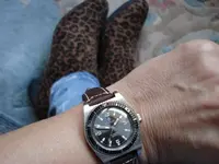 DSC01255.webp