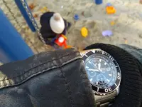 15425416528111025444376847494379.webp