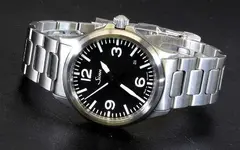 Sinn556a.webp