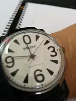 15426243738815958051615127965574.webp