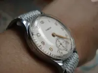 wristshot perfil.webp