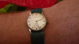 IMGP0009.webp