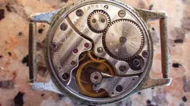 IMGP0001.webp