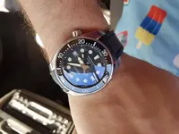 15428235863286761234807220068509.webp