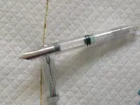 Cheaper Demostrator.webp