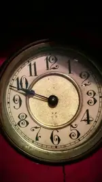 IMAG4773-1.webp